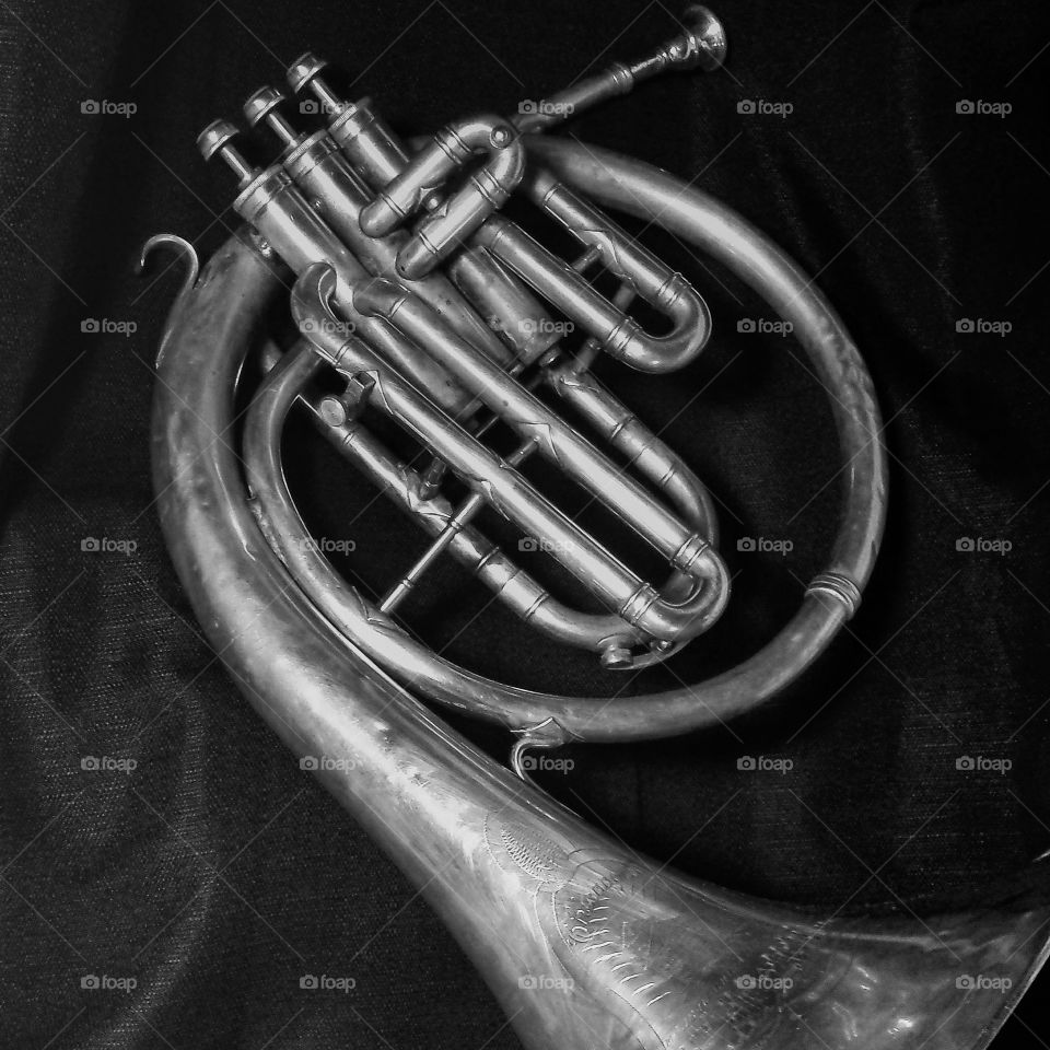 Old Chicagan mellophone