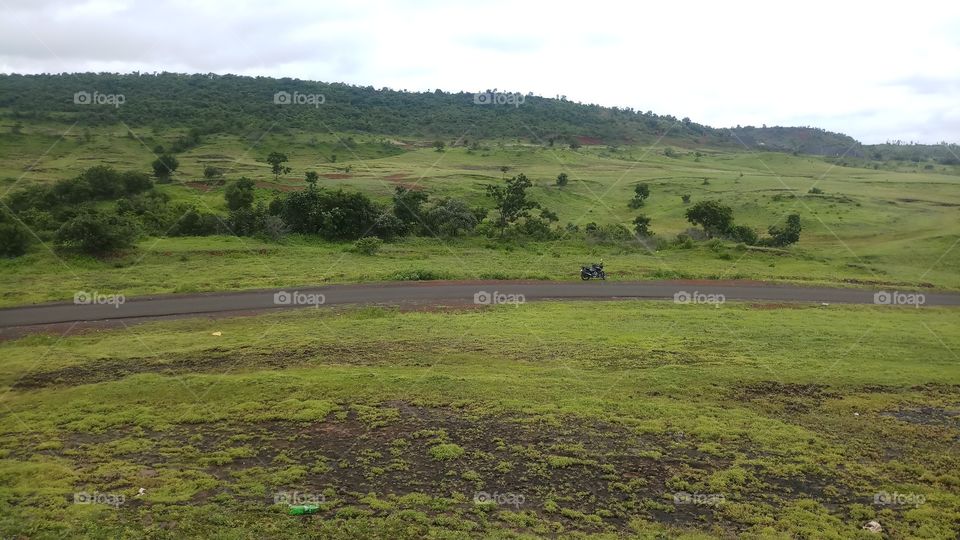 BBB.one fine morning forest hills way.. looking wonder land grennery.. views.. it's osm.