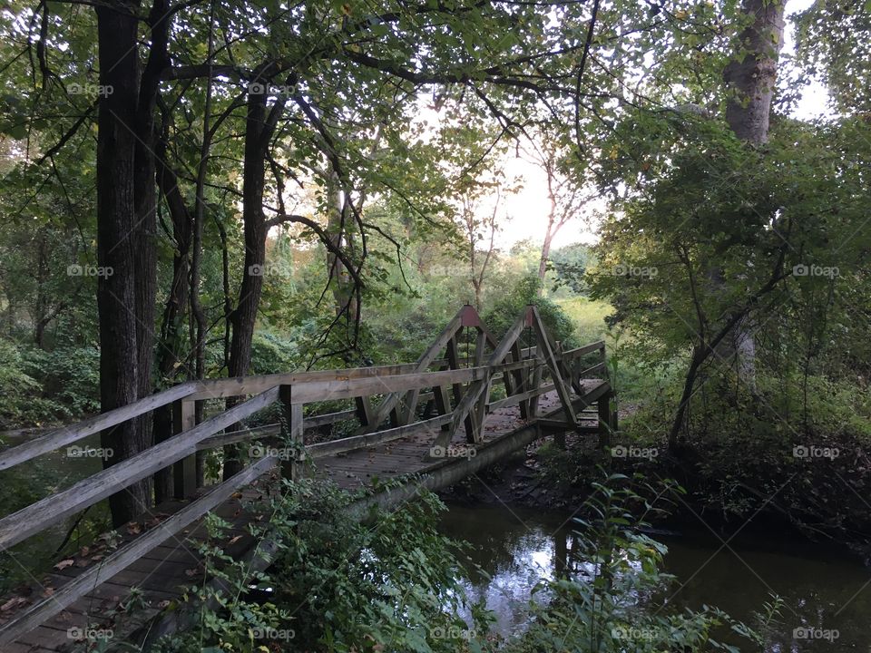 Bridge in CT