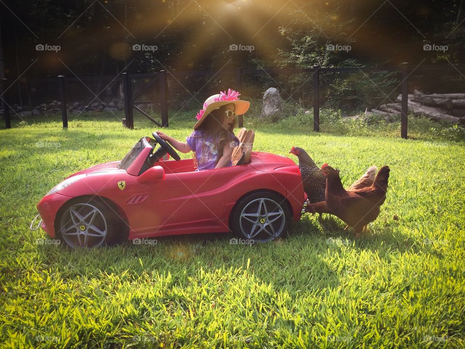 Why Did The Chicken Cross The Road