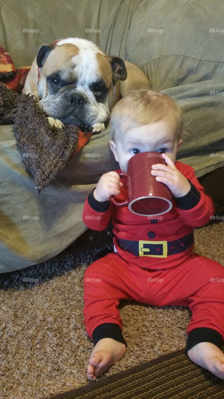 Santa drinking coffee. Christmas morning with the baby and Turk