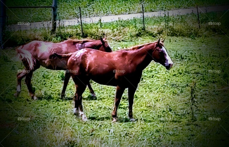 Driving the Back Roads and enjoying everything around us