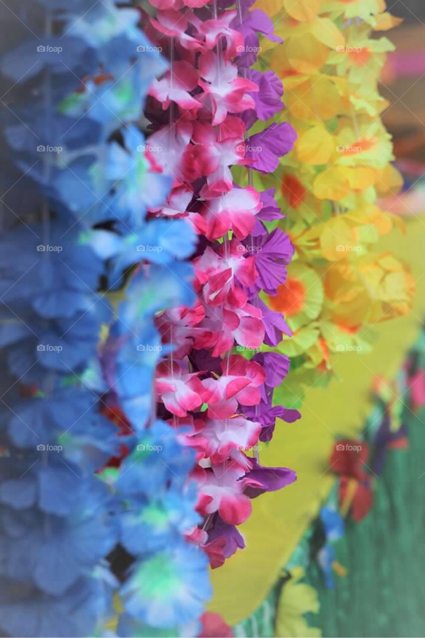 Bright and colorful Hawaiian flower leis ready for the tropical luau birthday celebration. 