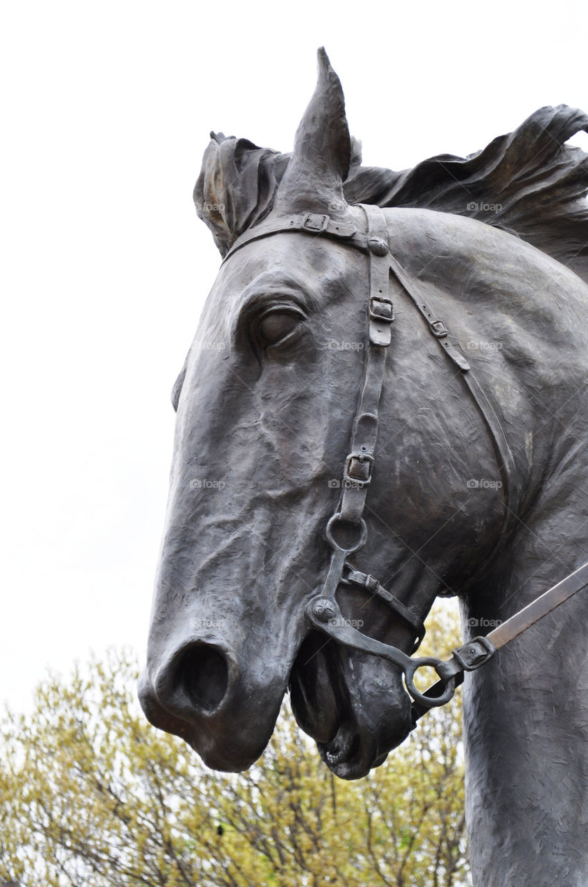 statue eyes horse texas by refocusphoto