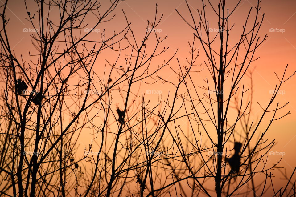 Patterns that only the presence of light can show