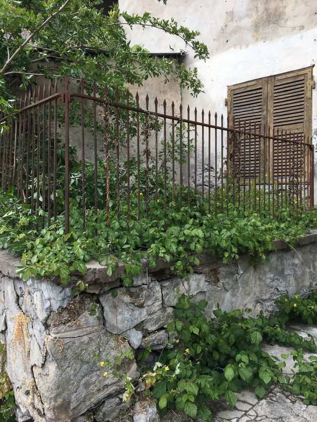 Abandoned Abode