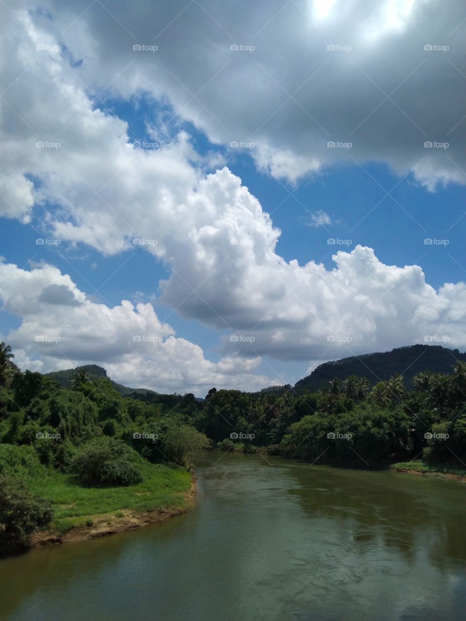 true nature.river and forest,hills,beautiful sky