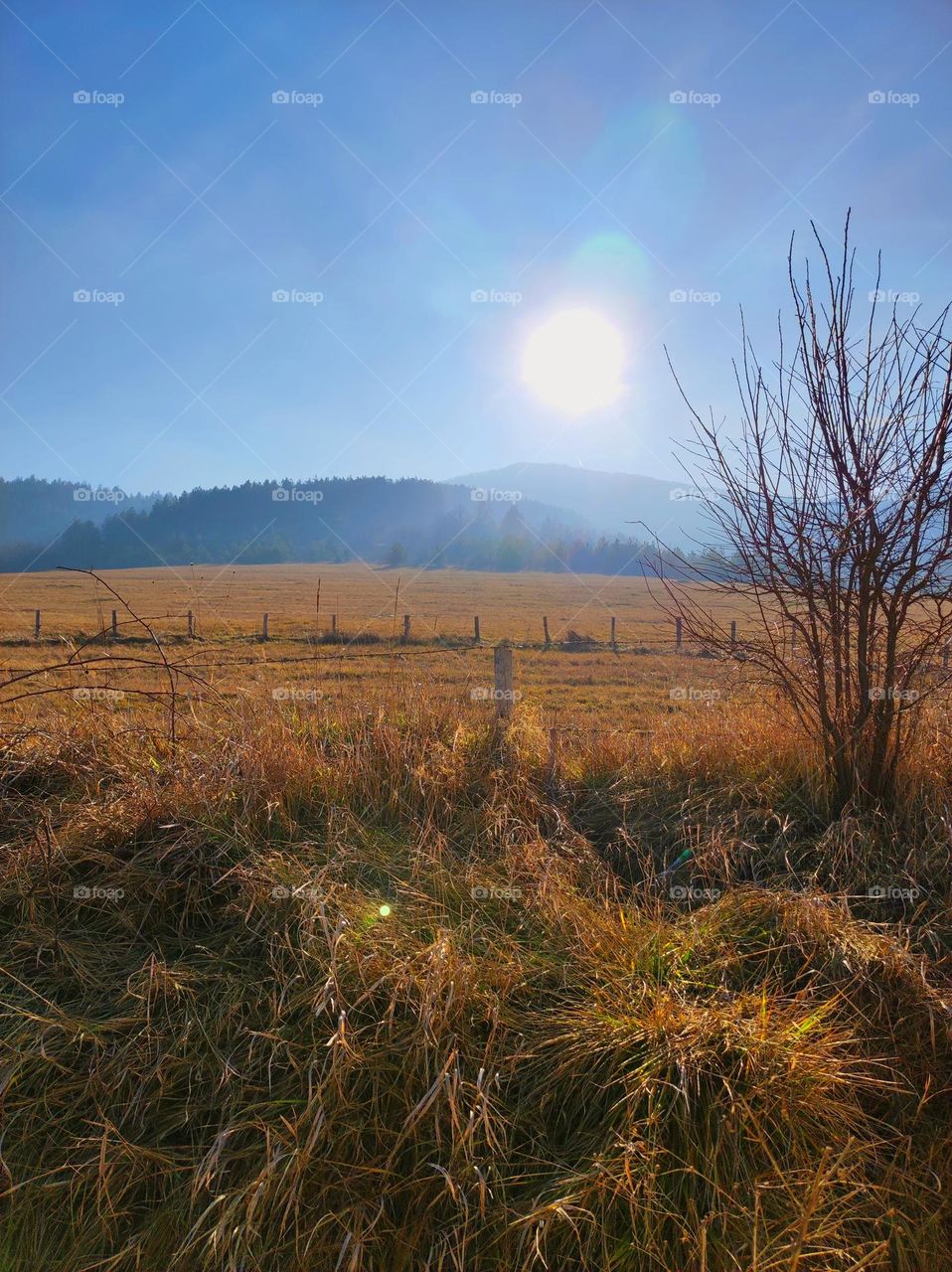 An empty field with foggy hills and a shining sun, with clear blue skies over the autumn grass horizon