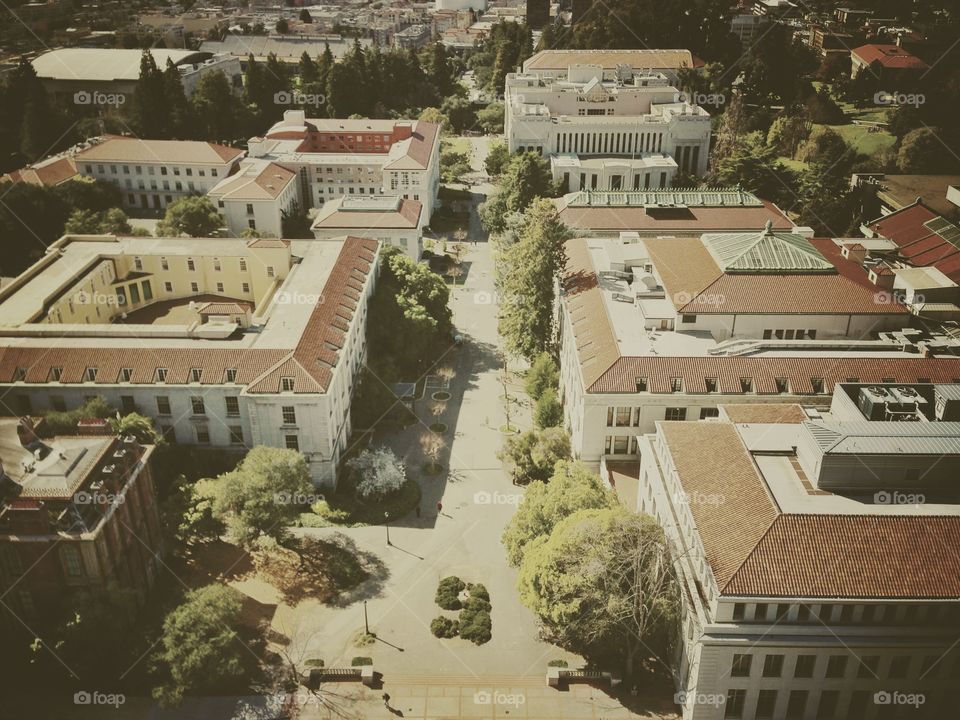 Berkeley College. Top view