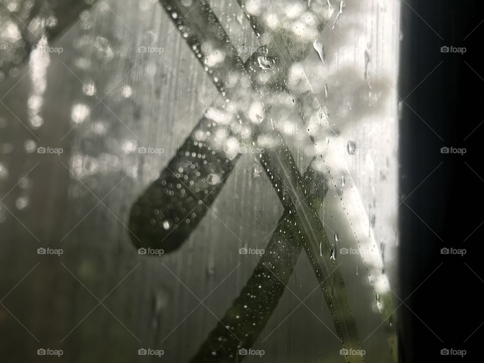 I love taking photos of rain on my window 