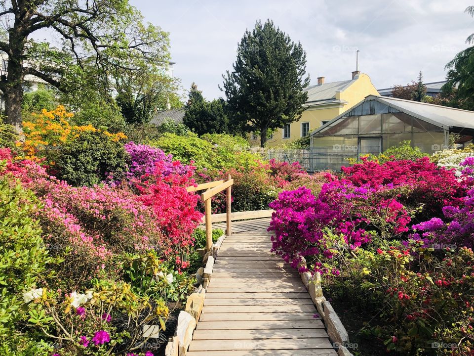 Belvedere flower garden