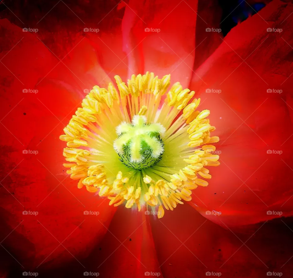 Illusion