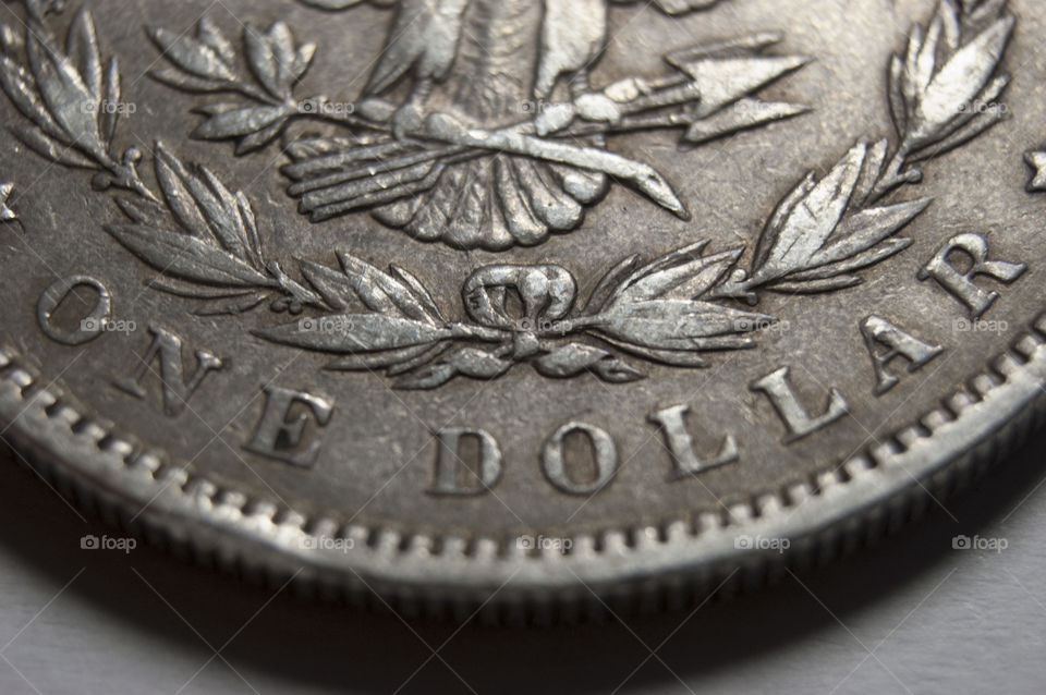 Silver dollar coin