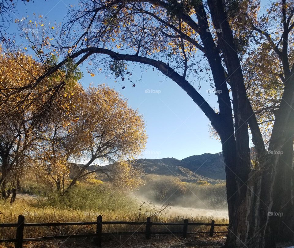 Countryside vs City mission.
Autumn mornings