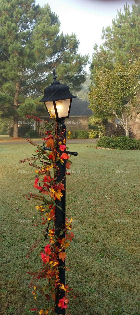 Lamppost with Fall Flowers