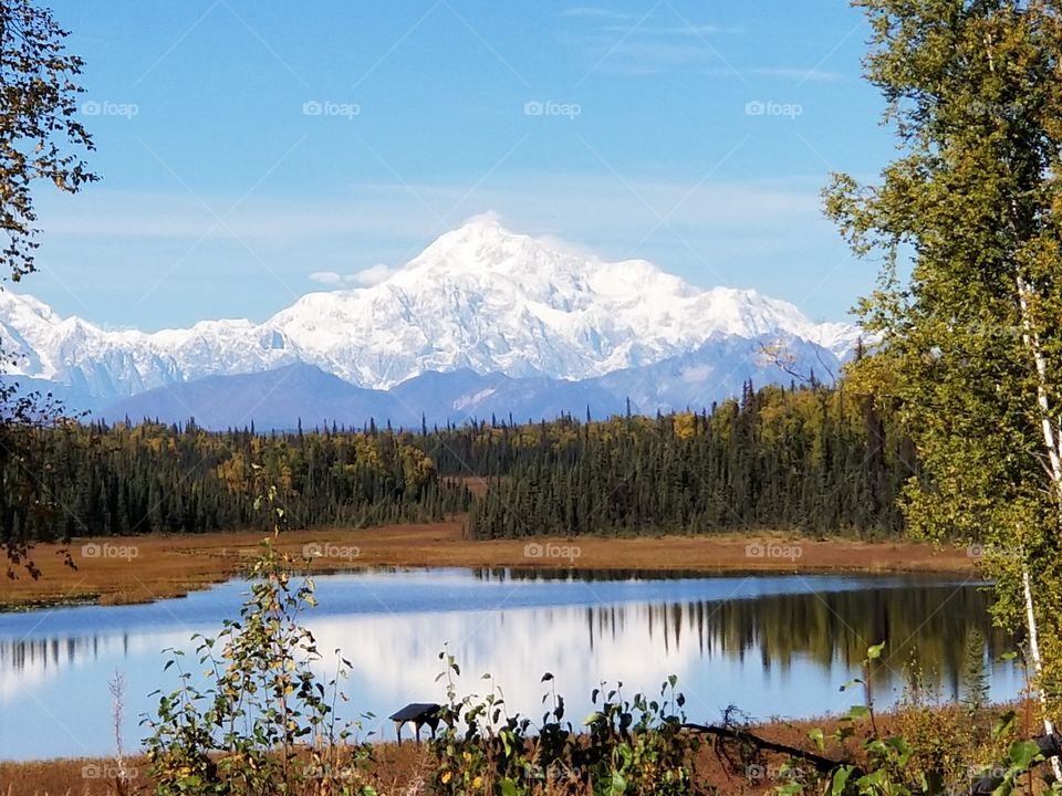 Denali reflected early fall