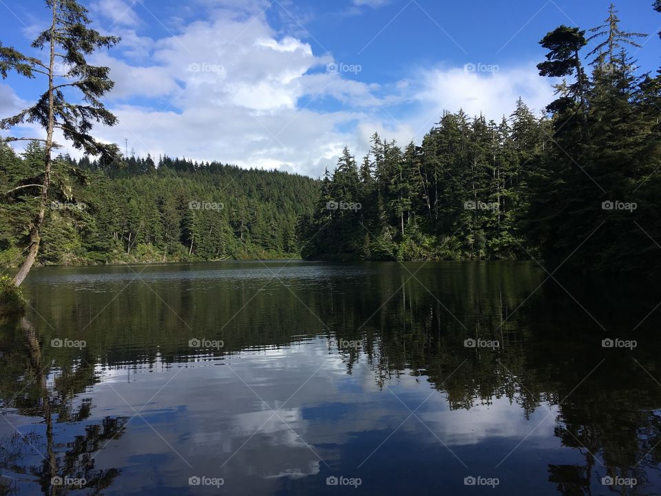 Oregon lake reflections