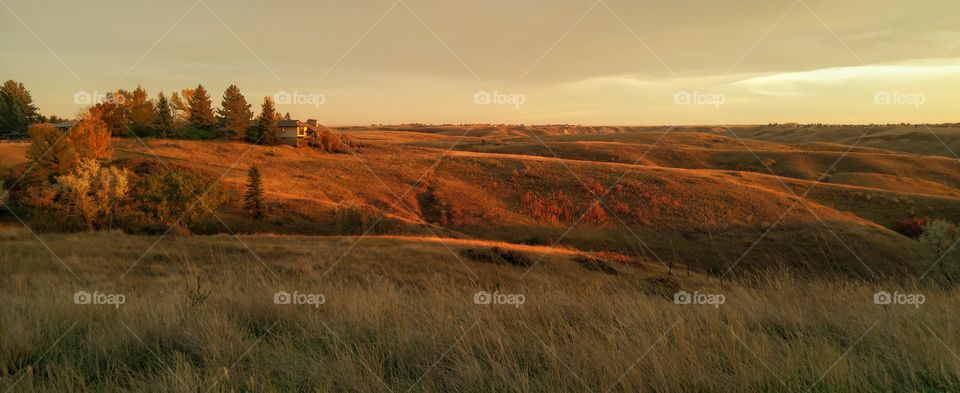 overlooking the coulee