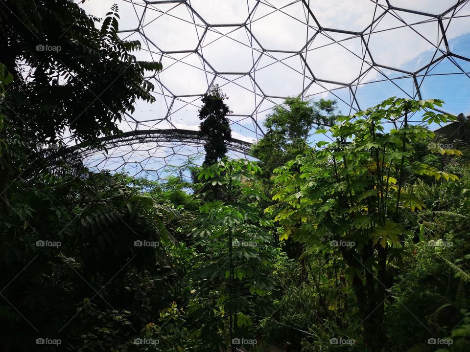 cornwall Eden project