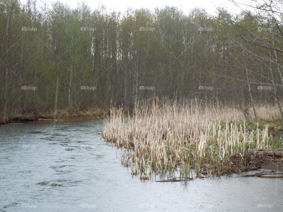 Mount Saint Helens wilderness
