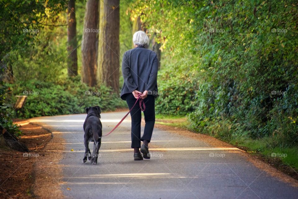 Walking in the woods