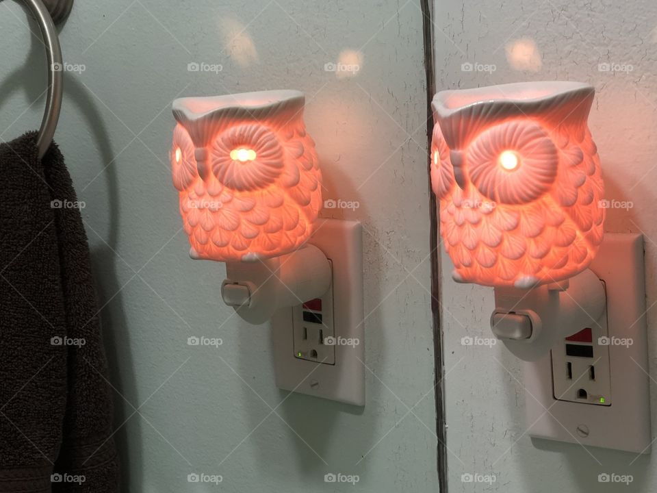 Owl night light and warmer