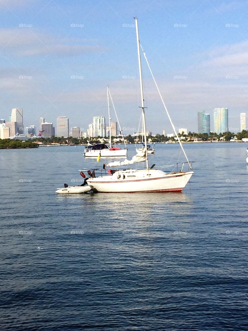 Miami harbor 