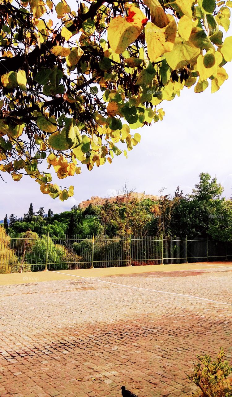 Athens Acropolis