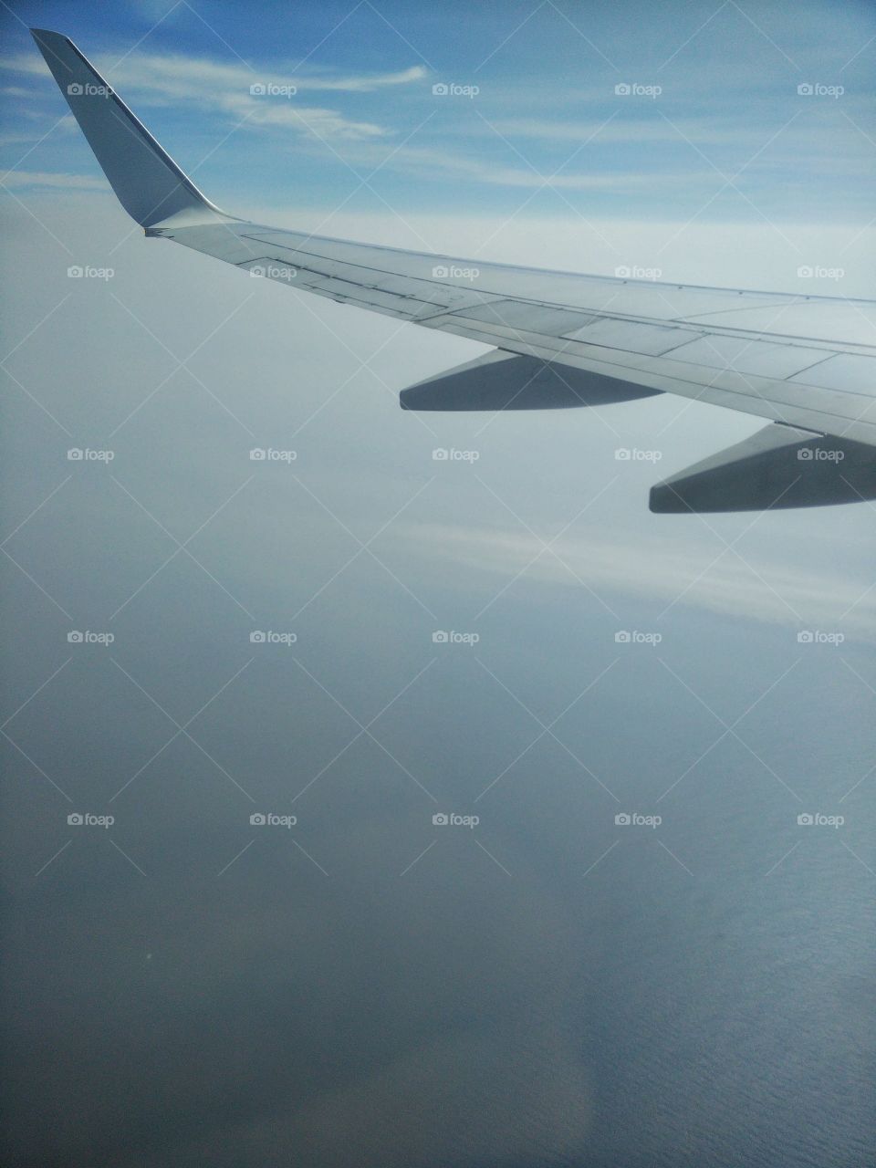 flying & flying high...