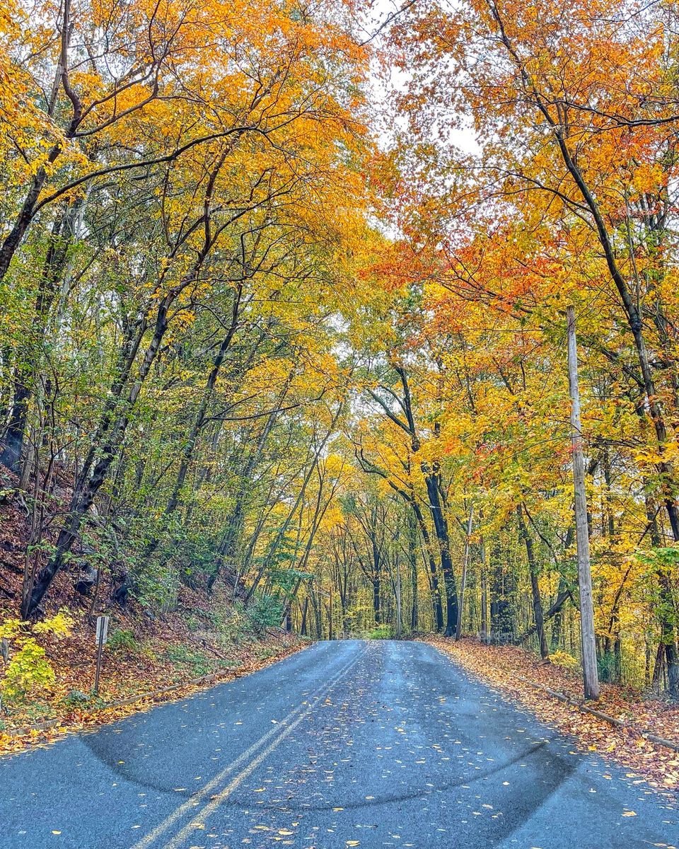 Fall foliage in New England 