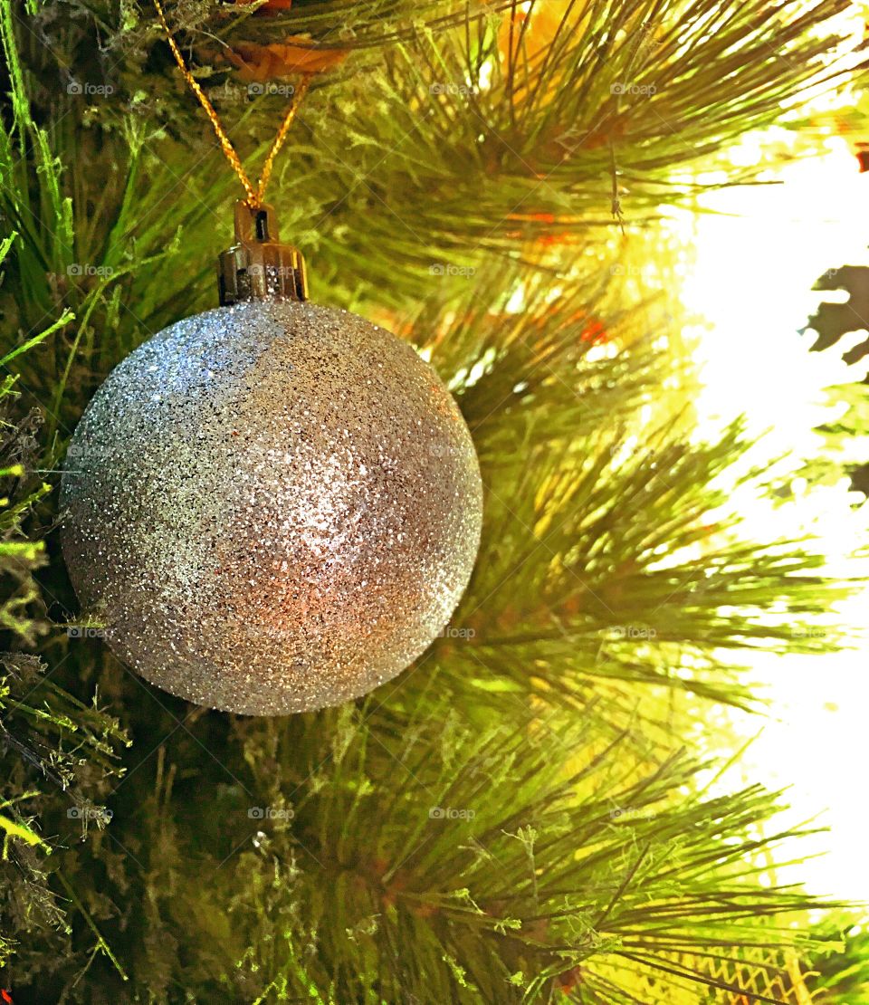 Christmas ornament
