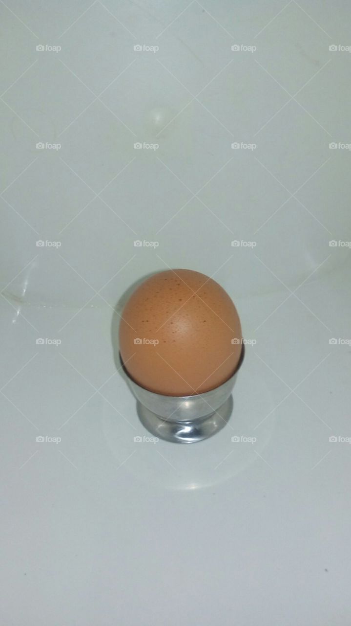 An Egg