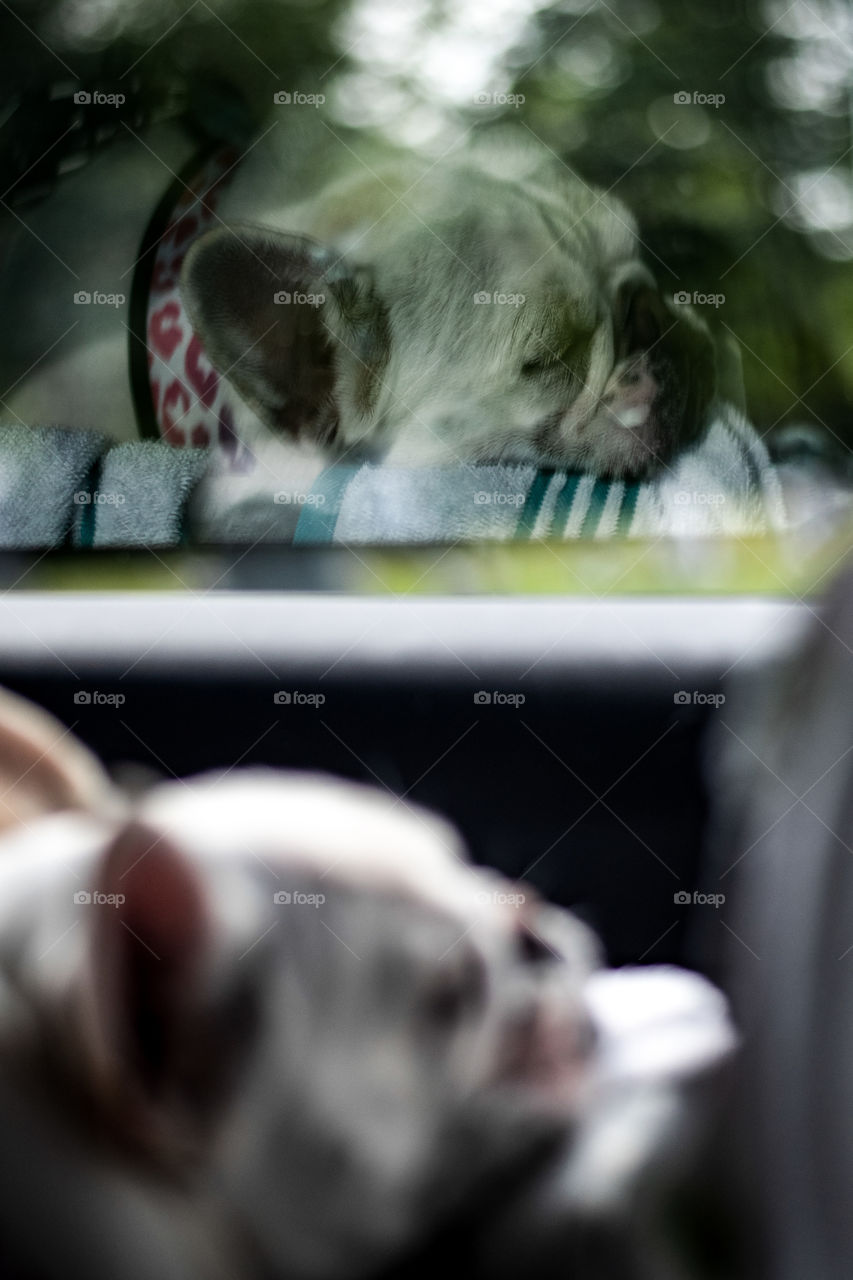 Oyster sleeping in the car peacefully. Look at those sleepy cute face? We love you so much our baby girl. 