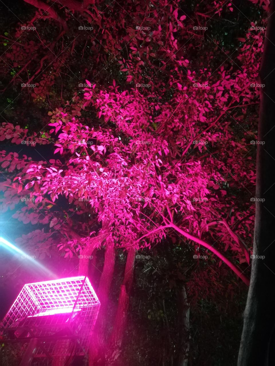 lights effect of the night it was different colurs