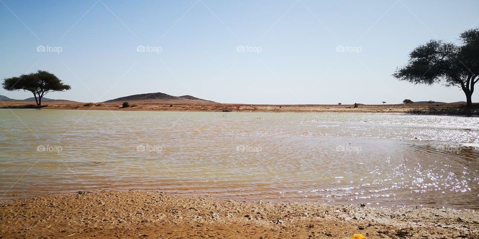 The return of water to oases means the return of life