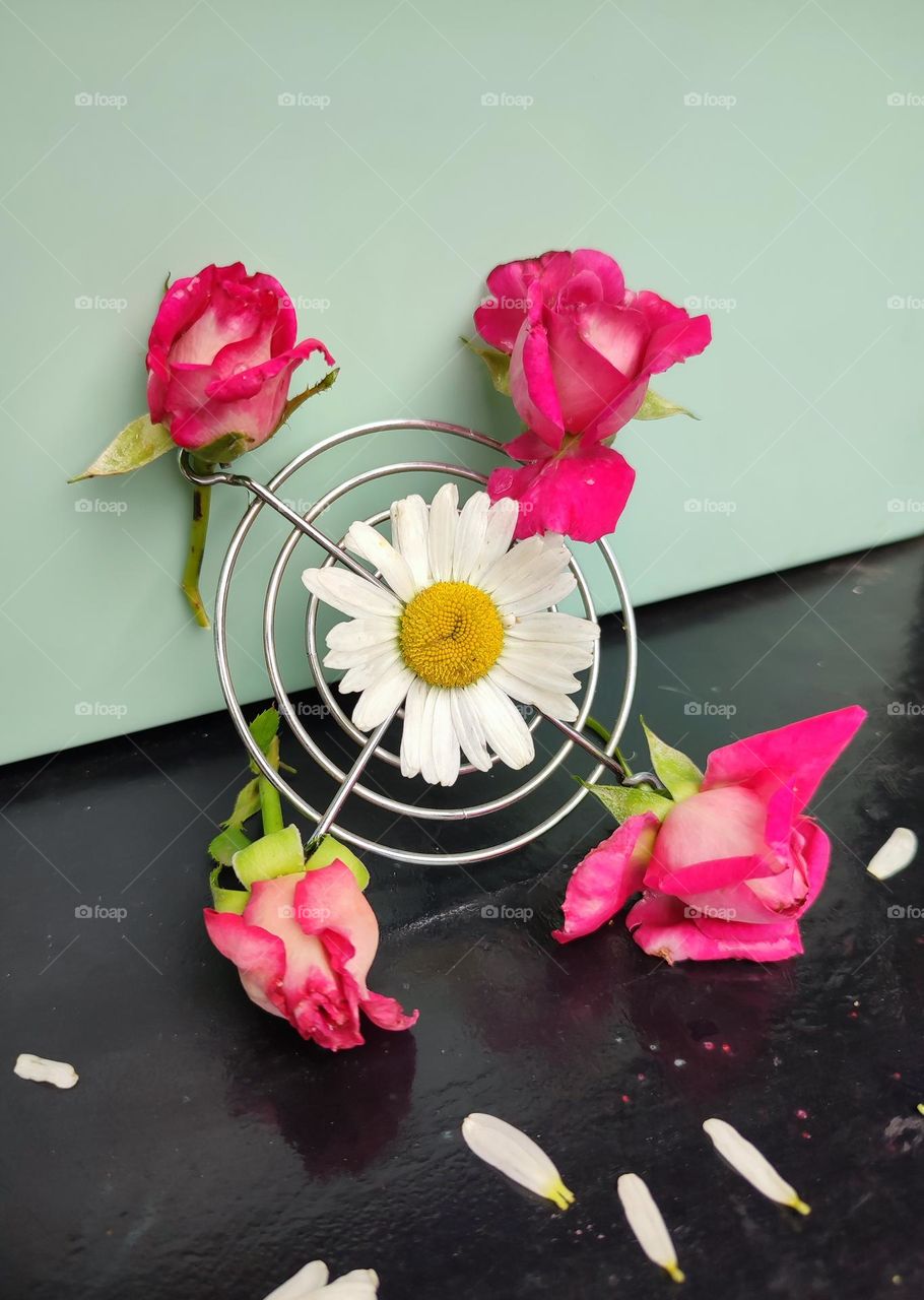 Roses and daisy flowers