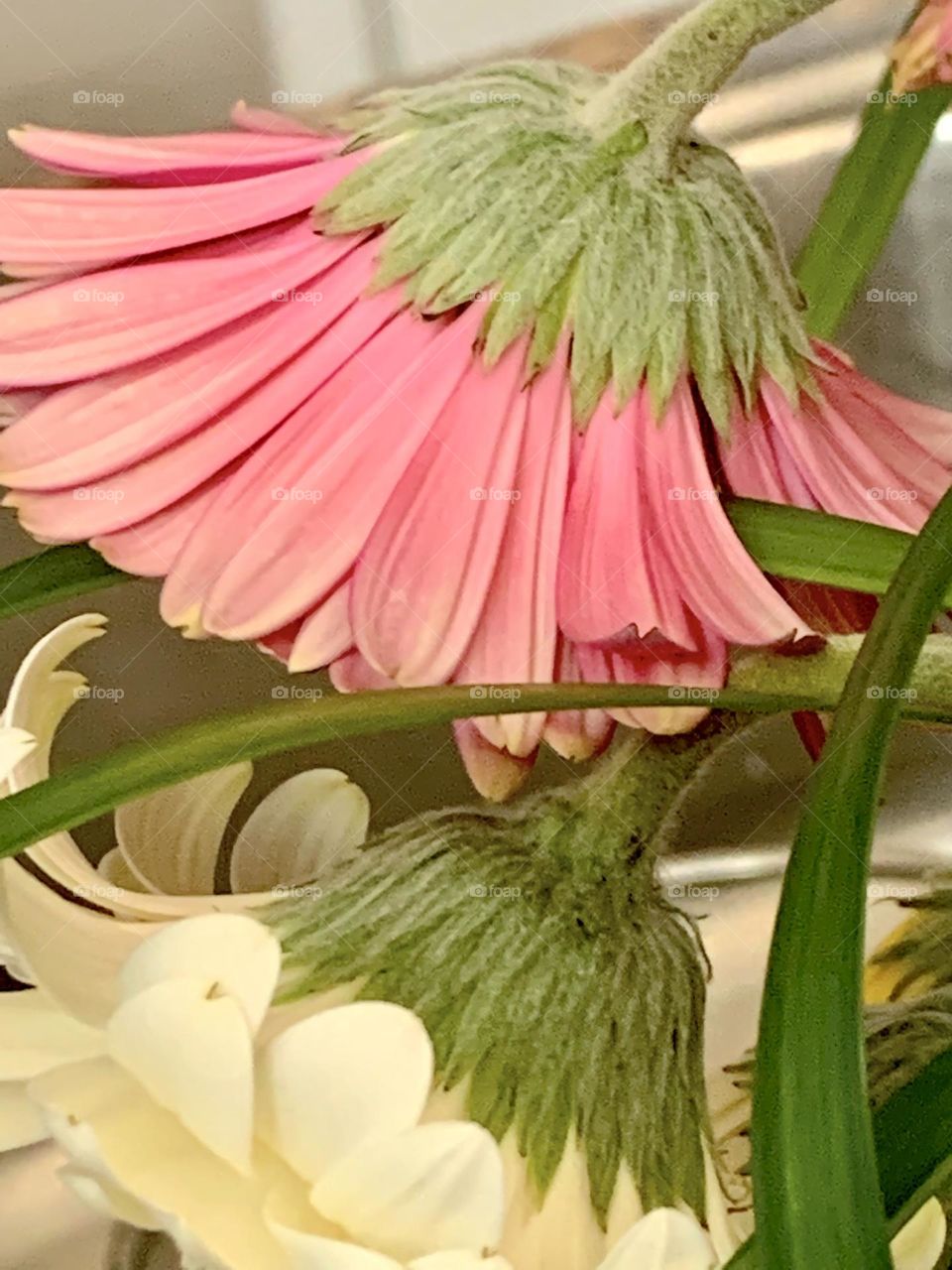 Droopy flower 2