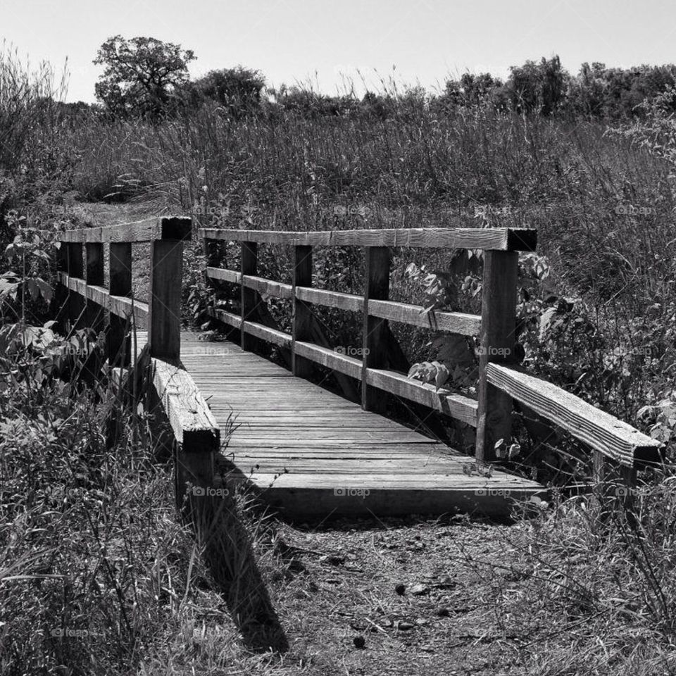 Bridge on a trail
