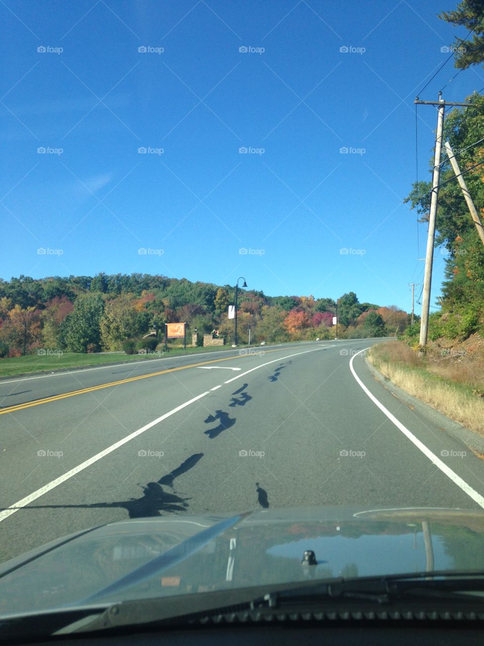 Country view during Fall