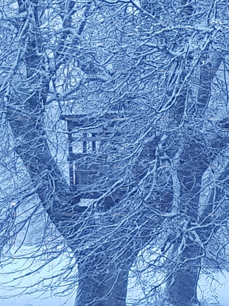 treehouse in winter