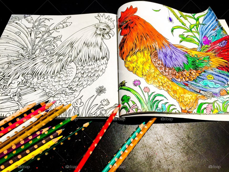 Coloring Book
