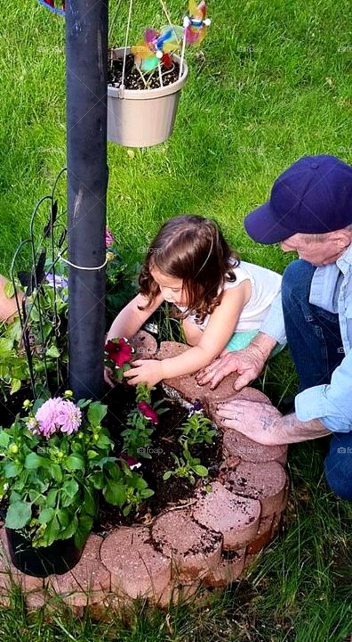 Gardening with grandad 