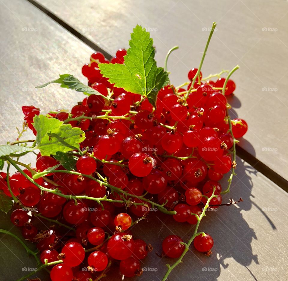 wild red currants