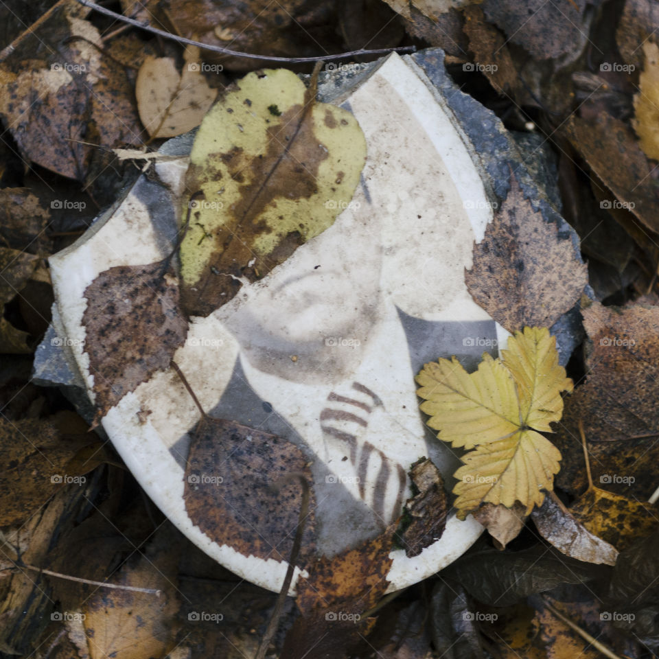Fragment of tomb with photo in autumn leaves. conceptual: forgetting, blind