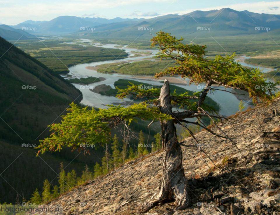 Красота с высоты птичьего полета
