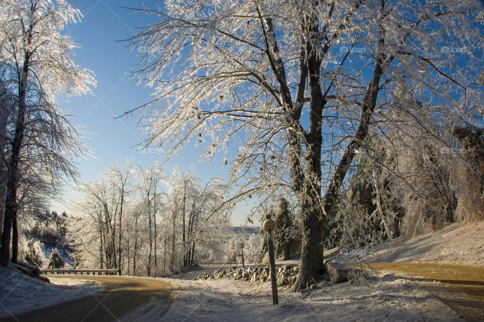 And ice encased landscape after an ice storm