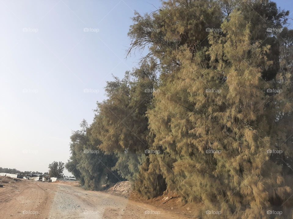 Please make me happy, I am poor, I need your help with support