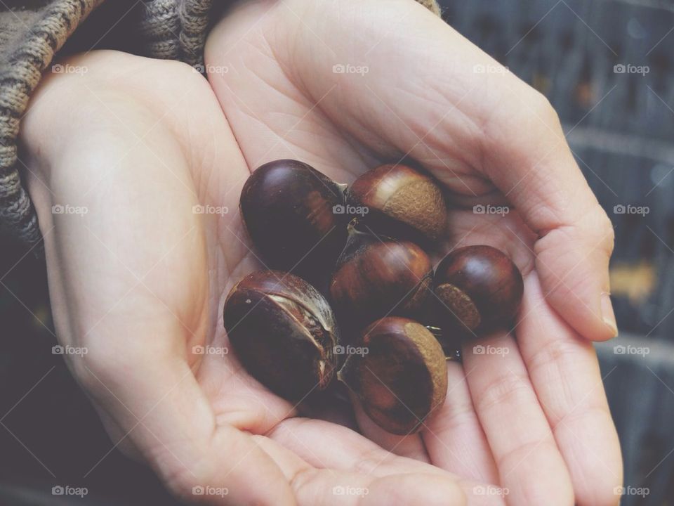 Chestnuts on my palm