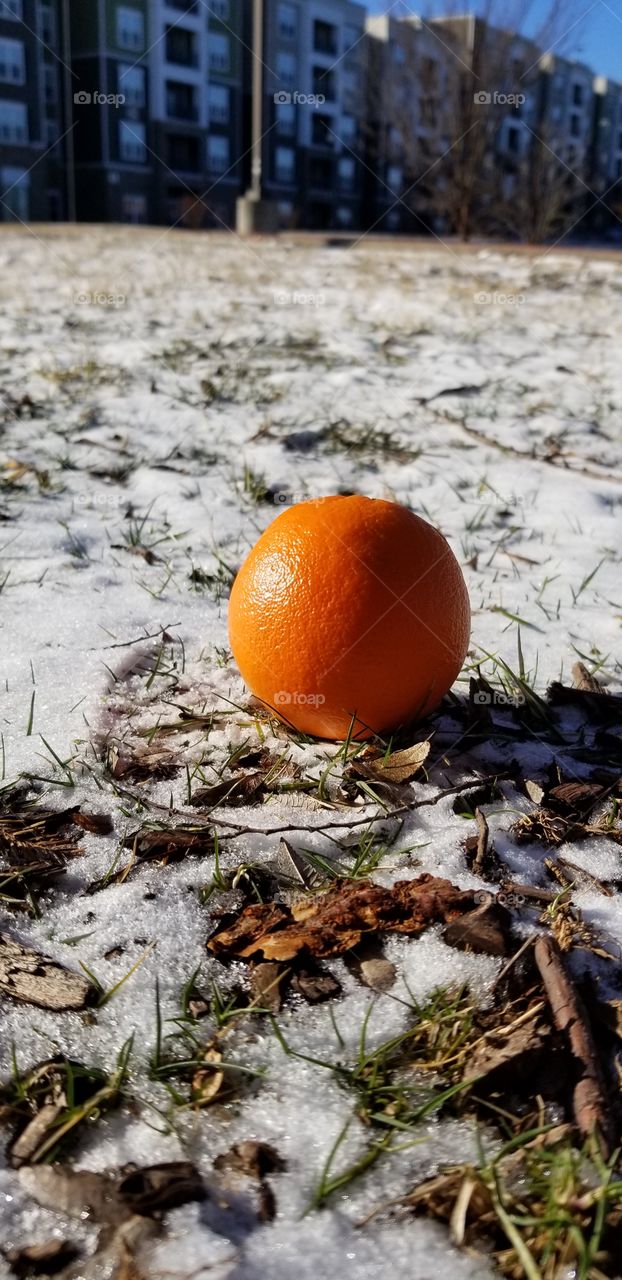 orange sbow globe
