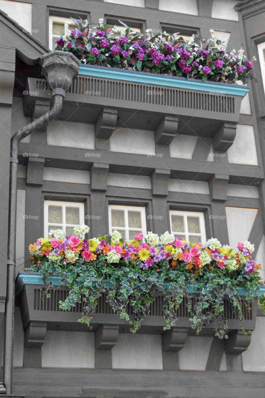 Beautiful Windows II. Another view of Windows.  Mixed black and white with color for an interesting pic. 
